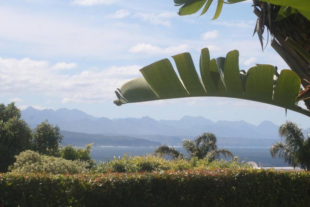 Seaviews From Arrowood Apartment Plettenberg Bay Ngoại thất bức ảnh